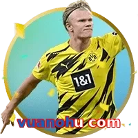 vuanohu com