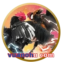 vuanohu com