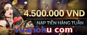 vuanohu com